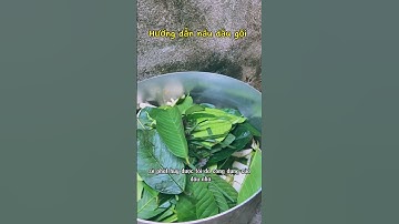 Hướng dẫn nấu dầu gội thảo dược kích thích mọc tóc.