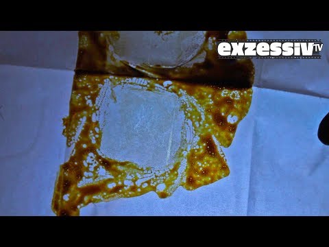 No. 496 Making Hash Rosin from 30g of Blue Cheese