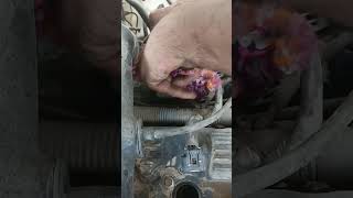 Toyota Hilux 2012 throttle body clean plug change #viralvideo