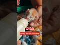 Three newborn kittens abandoned in a plastic bag... what happened next 🐱 #catrescue #shorts #viral