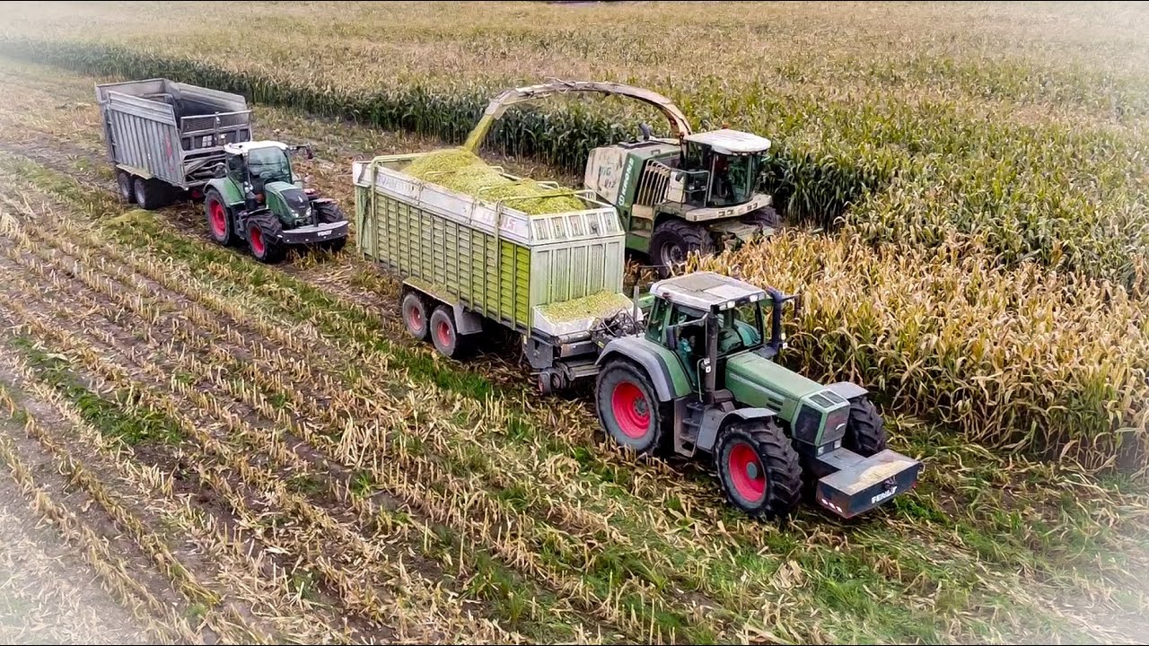 ☆Koszenie Kukurydzy☆ Krone Big X V12 ☆14rzędy ☆Fliegl GIGANT☆Fendt Vario 916/722/716/714☆CLAAS☆2025☆