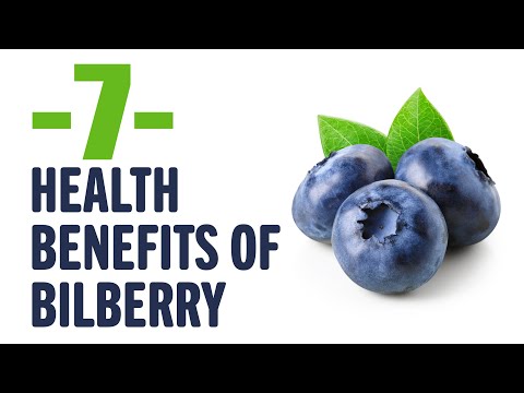 7 health benefits of bilberry | Interesting to know | Keep it in mind