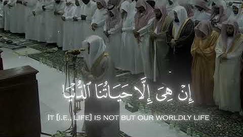 ﴿ وَلَئِنْ أَطَعْتُم بَشَرًا مِّثْلَكُمْ إِنَّكُمْ إِذًا لَّخَاسِرُونَ ﴾ سورة المؤمنون
