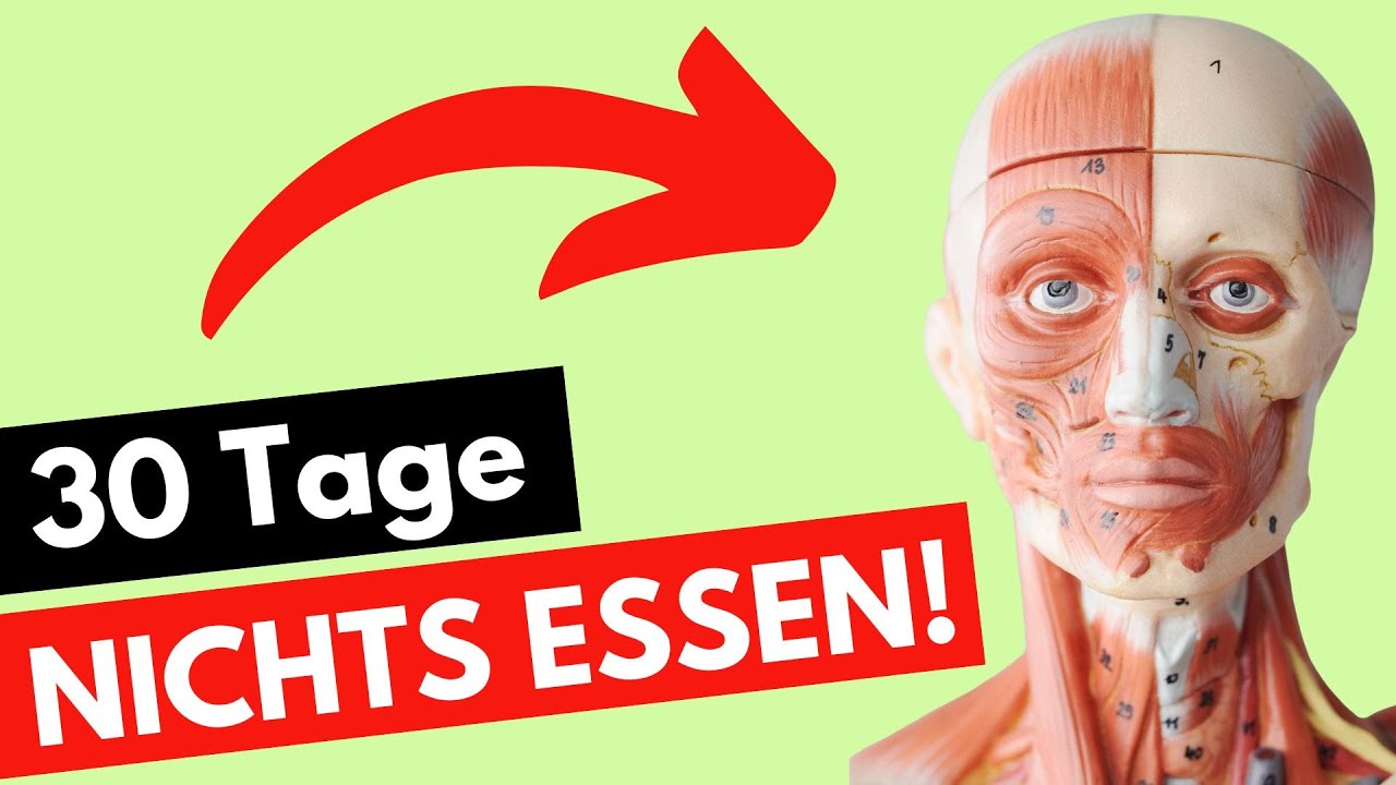 Was Passiert Wenn Man 3 Tage Nichts Isst DAS passiert mit deinem Körper, wenn du 30 Tage NICHTS isst! - YouTube