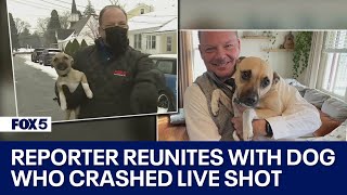 Bob Barnard reunites with puppy who crashed live shot 2 years later | FOX 5 DC