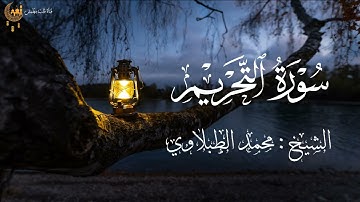 سورة التحريم - للشيخ محمد الطبلاوي 🤍 تلاوة نادرة جدا