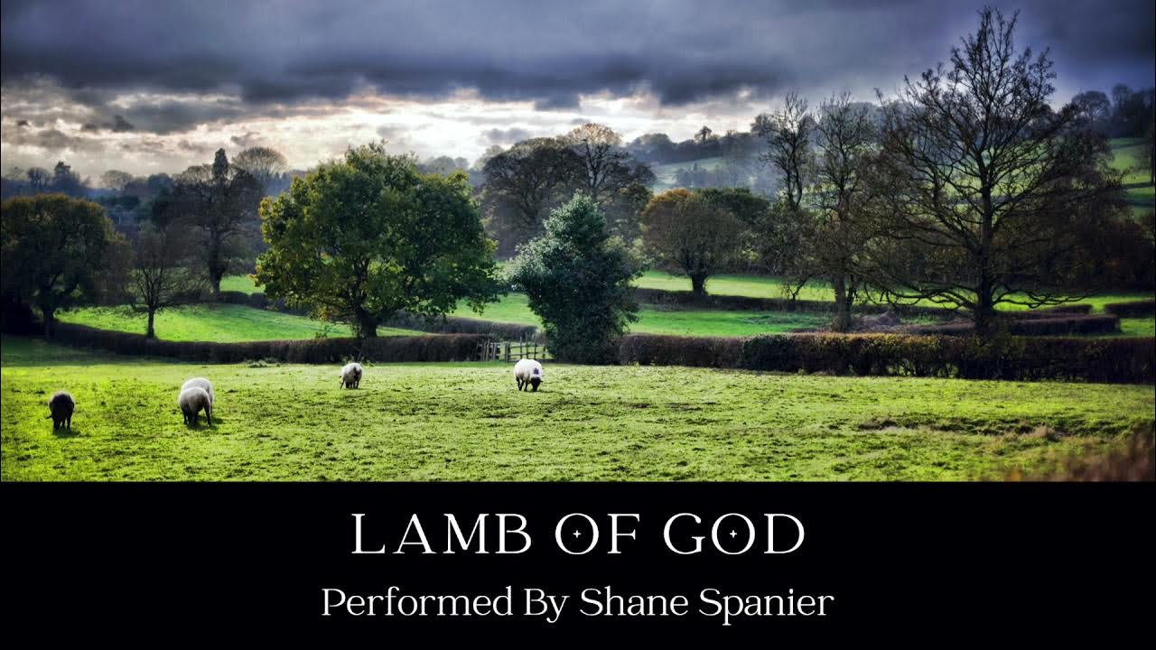 Lamb Of God Twila Paris Performed by Shane Spanier YouTube