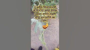 7 अप्रैल विजयदशमी के दिन 2 जगह दीपक अवश्य लगाएं🌿🤑#panditpradeepmishra#trendingshortvideo#shortsfeed