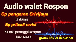 gabungan dua SP yang Respon gelombang suara di rubah suaranya lbeda dengan yang lain