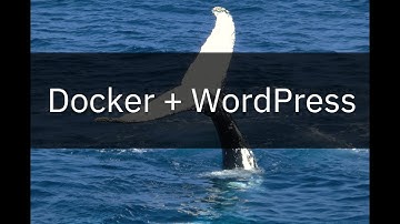 Developing wordpress project in docker container