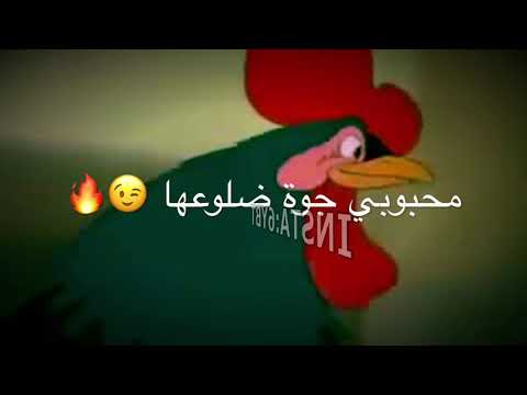 شبت بضلوعي نارها مسرع الكلمات 