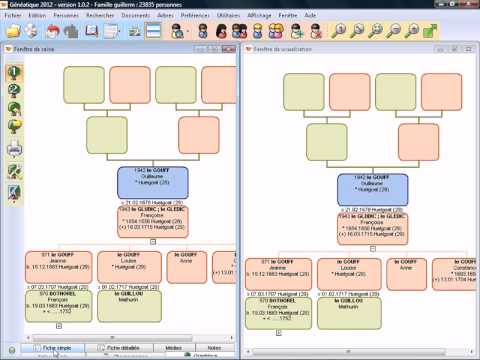 Visualiser deux branches généalogiques