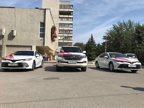 Аренда-авто34.рф - свадебный кортеж Волгоград и область, машины и свадебные украшения на авто прокат