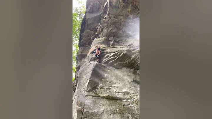 Narcissus 12a Summersville lake, NRG