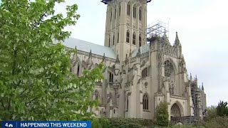 National Cathedral's 85th Flower Mart fundraiser happens this weekend | NBC4 Washington