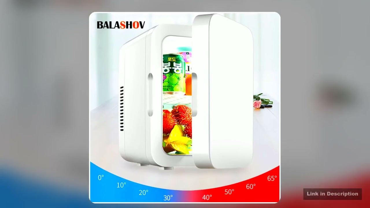 220V Mini Refrigerator Portable Cooler Compact Refrigerator for Car Truck Kitchen Home Use Picnic