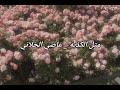 متل الكذبة الهوا طاير عمرو دياب بدون موسيقى