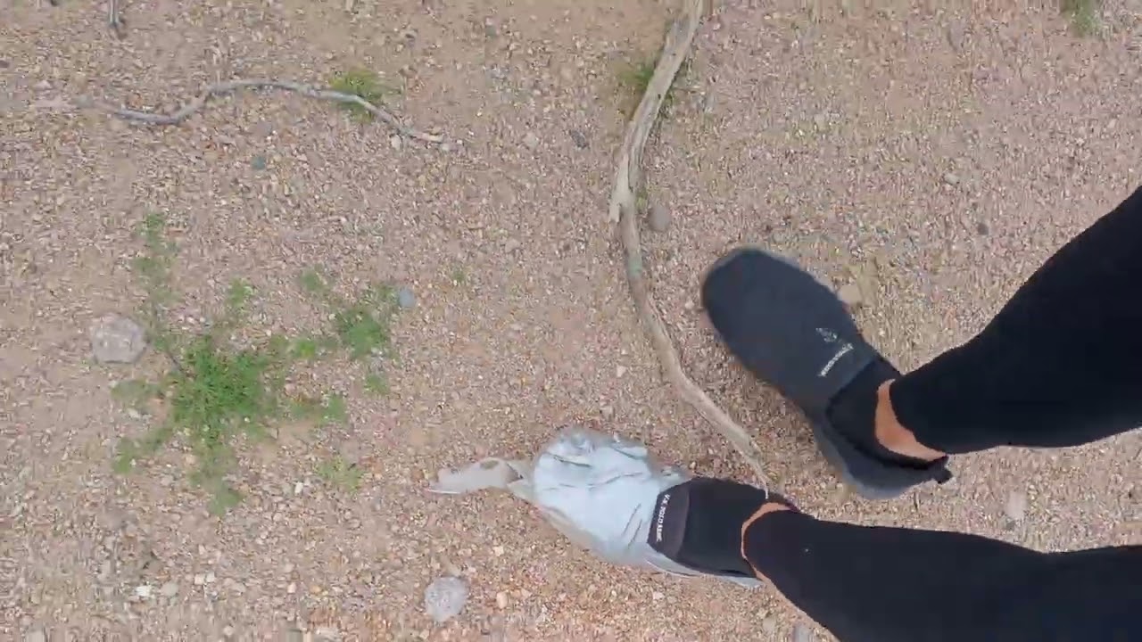 Not your average redneck 