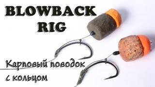 :    . BLOWBACK RIG