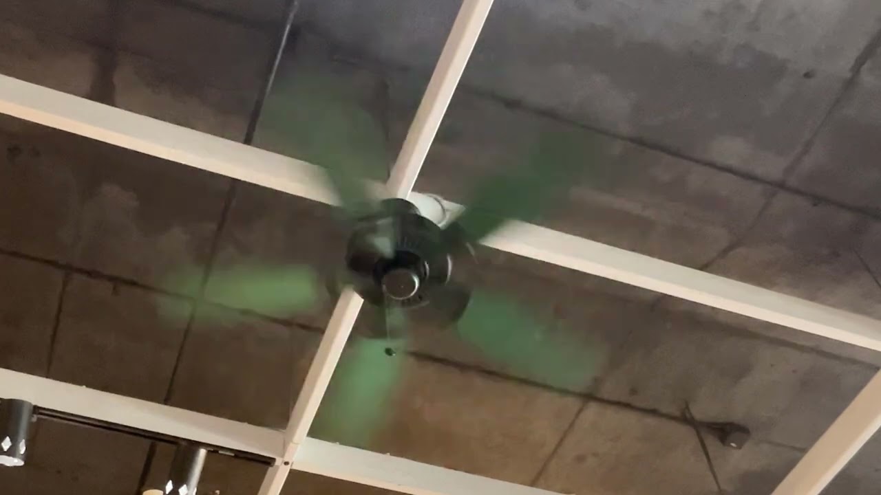 Hampton Bay Farmington at a restaurant 2 of 3