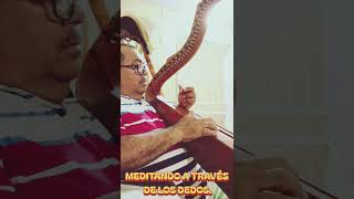 Como meditar a traves de los dedos. #musica #folklore #meditacion