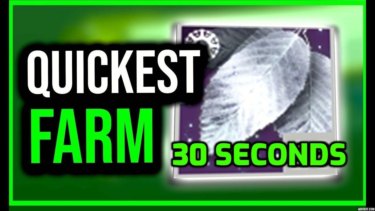 DO THIS NOW!  FAST Silver Leaves Farm Solstice 2023 | Destiny 2