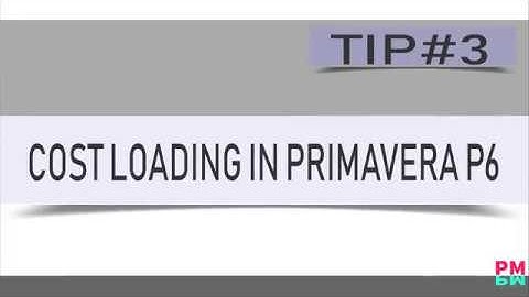 Cost Loading in Primavera P6 through MS Excel Spreadsheet Import and Export