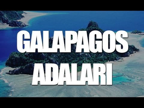 Video: 8 Galapagos'ta Görülmesi Gereken Adalar