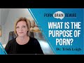 Porn: What's Its Purpose? You'll be shocked by the answer! w/ Dr. Trish Leigh