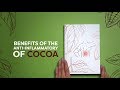 #EXPLICAMOS™ Benefits of Cocoa for Inflammatory Effects (VitalCao) #videoexplicativo