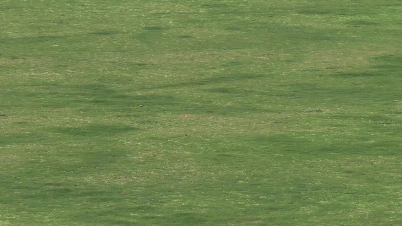 ACG T 30 CHAMPIONSHIP EDITION 8 ....CRICK PLAYERS VS JUMBO CRICKET CLUB ( JCC )