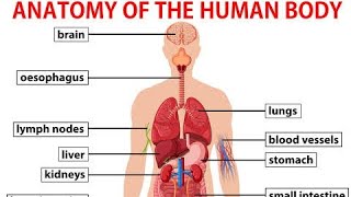 Empotech (Performance task Q2) Educational Vlog...  Let us know the Parts of the Human Body