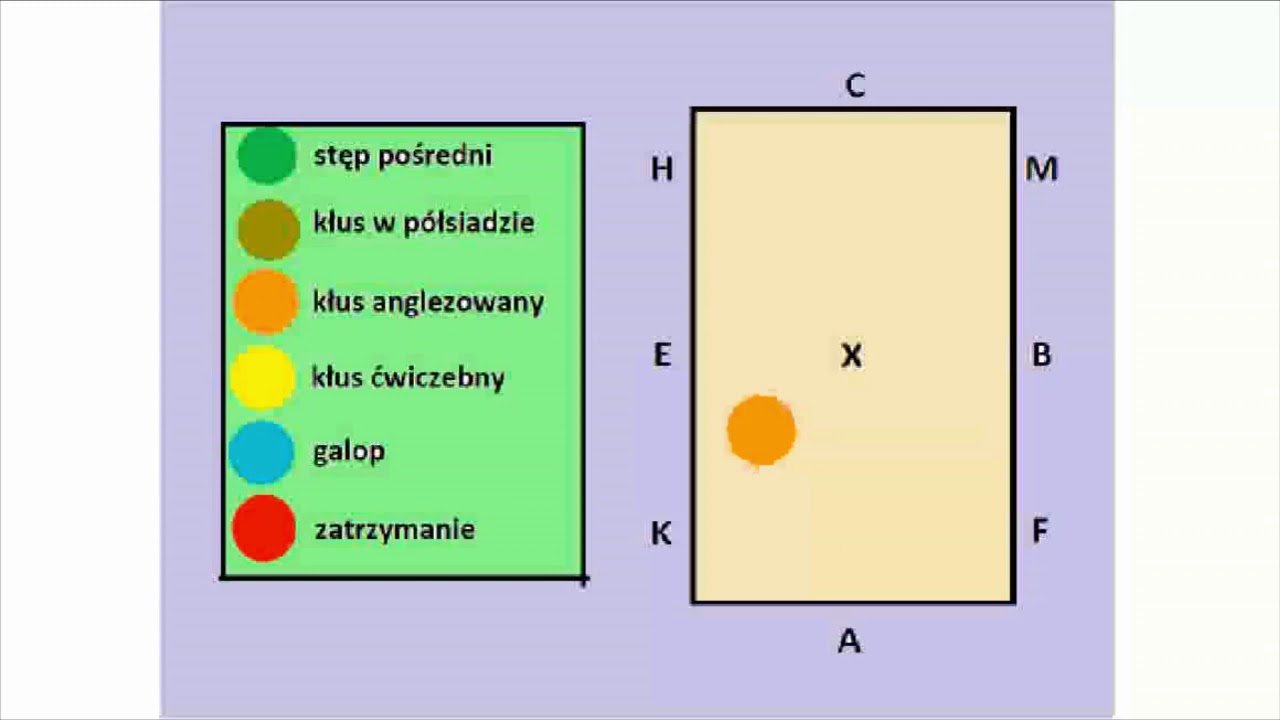 Pytania Na Brazowa Odznake Jezdziecka Brązowa Odznaka Jeździecka BOJ czworobok animacja - YouTube