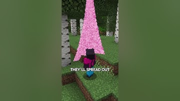 Secret particles in Minecraft🙀 you didn