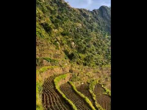 حاولت أسلي خاطري بالتمني