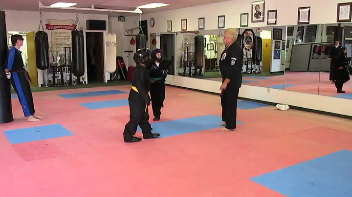 Elissa Sparring - American Kenpo Karate