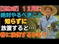 99%の人が知らない【玉ねぎ】12月に必ずやるべきことと、その理由
