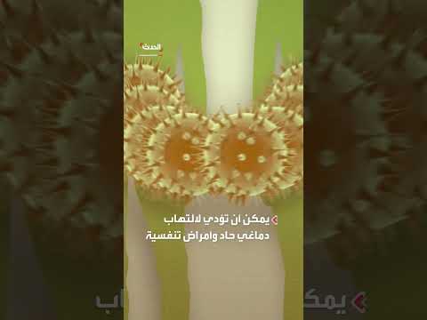 فيروسات خطيرة في الخفافيش الصينية: تحذير من خطر جديد