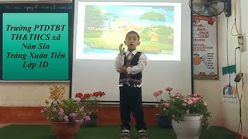 Kể chuyện Vịt con đi học - Kể chuyện Tiếng Việt