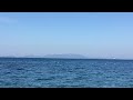 Греция Эгейское море Чайки 2023 г