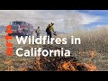 California: Fighting Fire with Fire I ARTE.tv Documentary