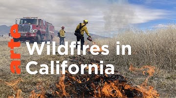 California: Fighting Fire with Fire I ARTE.tv Documentary
