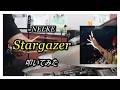 NELKE_Stargazer_叩いてみた【足元映像有り】