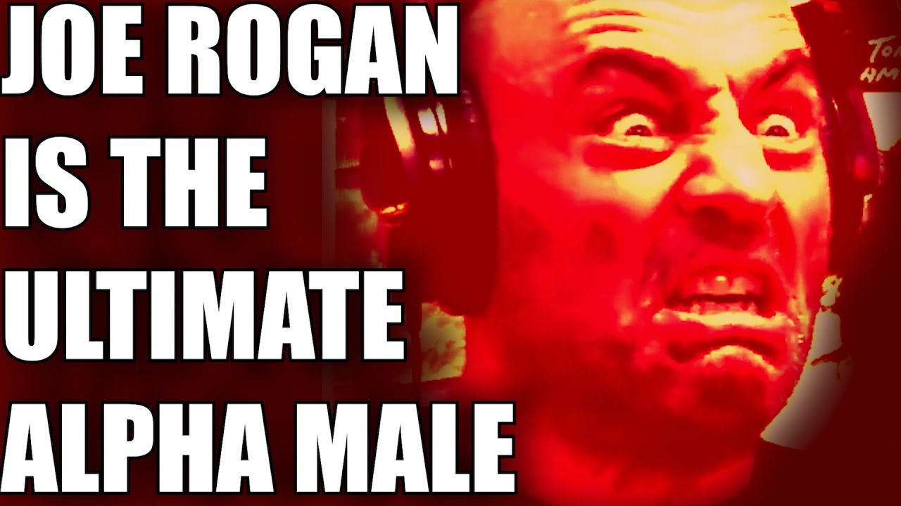Joe Rogan Is The Ultimate Alpha Male W/ Adam Conover Supercut Edition ...