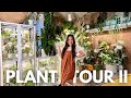 Exploring my bedroom oasis 300 rare houseplant haven  part 2 of ultimate plant tour