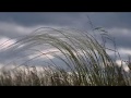 Тамбовские окраины (RAW Video, Canon 6D)