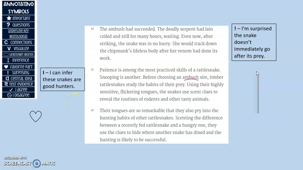 animal snoops 2 YouTube