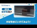 実験レシピ 木材を水に入れてみよう!