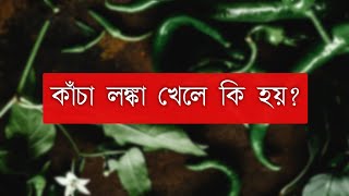 কাঁচা লঙ্কা খেলে কি হয় | কাঁচা লঙ্কা খাওয়ার উপকারিতা | Benifits of Green chilli | Take care Bangla