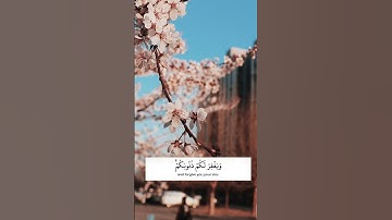 يَا أَيُّهَا الَّذِينَ آمَنُوا اتَّقُوا اللَّهَ | تلاوة خاشعة #القرآن_الكريم #اكسبلور #تلاوة_خاشعة